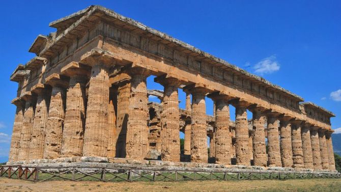 Vie dell&amp;#39;Olio: Campania: Cilento DOP