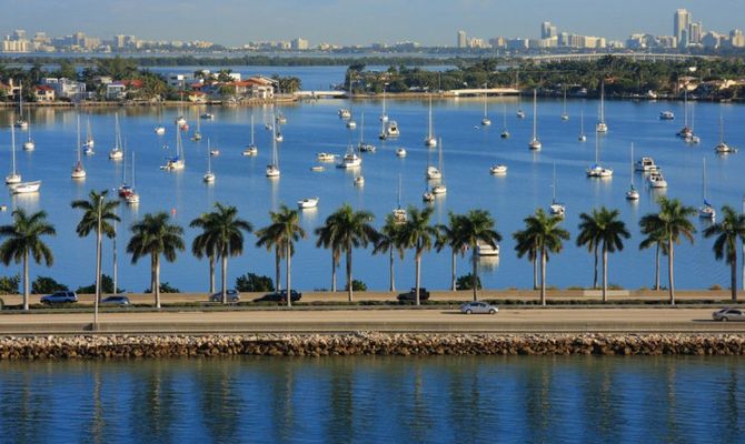 Porto di Miami con palme e yacht