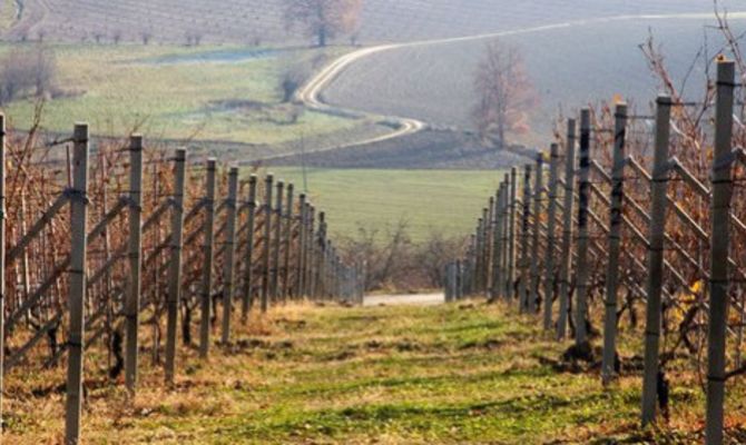 Strada Romantica delle Langhe