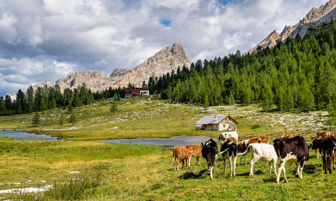 Fanes-Senes-Braies, alta badia, alto adige