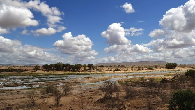 Kenya Parco Nazionale di Tsavo
