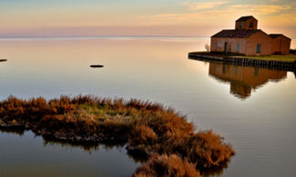 Primavera sul Delta del Po, 5 escursioni a tu per tu con la natura