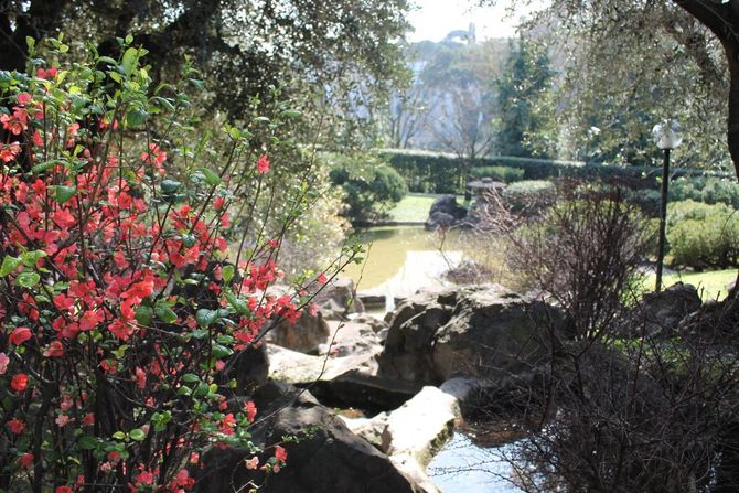 Giardino giapponese