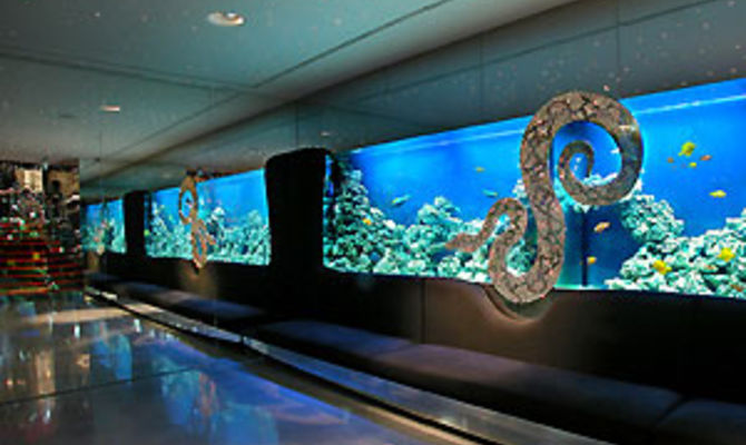 Just Cavalli Cafè