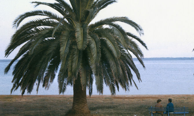 Luigi Ghirri - Laguna di Orbetello