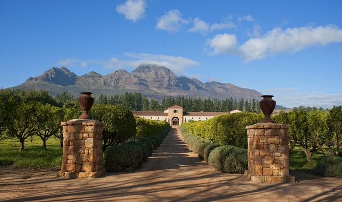 9 Cape Town Wine Tours