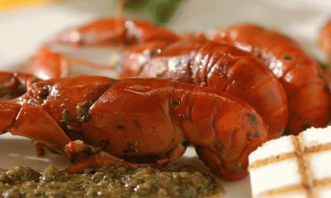 Buon Ricordo, ricette, pesce, Treviso