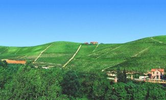 Fontanafredda, panoramica di vigneti