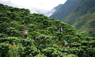 In viaggio nella Colombia del caffè: 5 cose da sapere