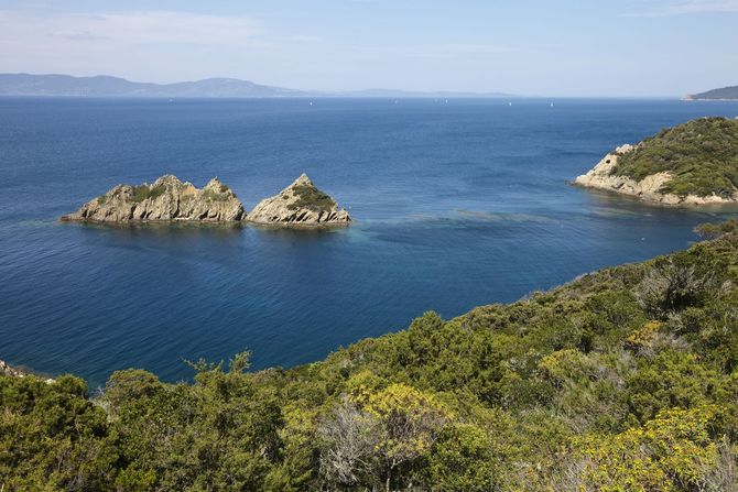 Parco nazionale di Port-Cros