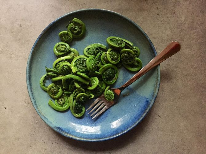 Steamed Fiddleheads