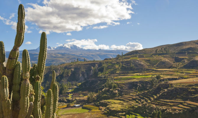 Colca Valley