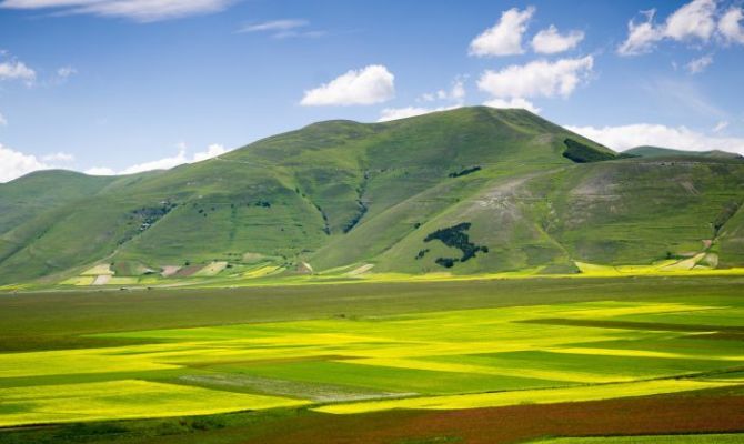 umbria,campagna,verde