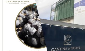 Cantina di Soave, il vino in evoluzione