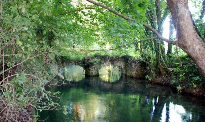 riserva regionale boschetto della cascina campagna