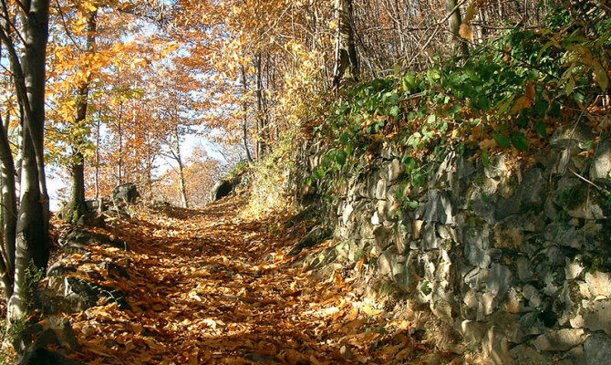 oasi zegna biella piemonte natura bosco autunno sentiero
