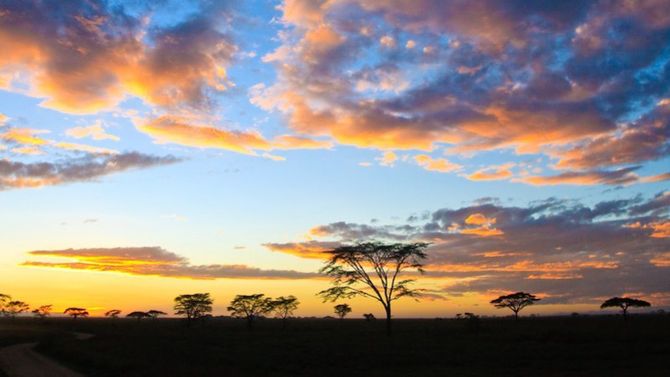 Tramonto al Parco di Serengeti