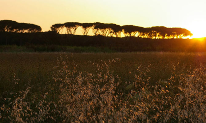 Parco della Maremma