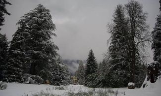 Levico Terme, Natale in giardino