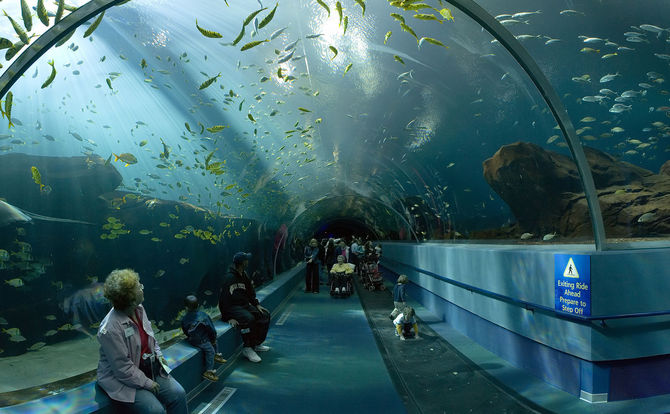 Acquario della Georgia
