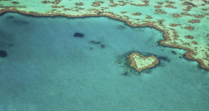 29. Parco Marino Great Barrier Reef