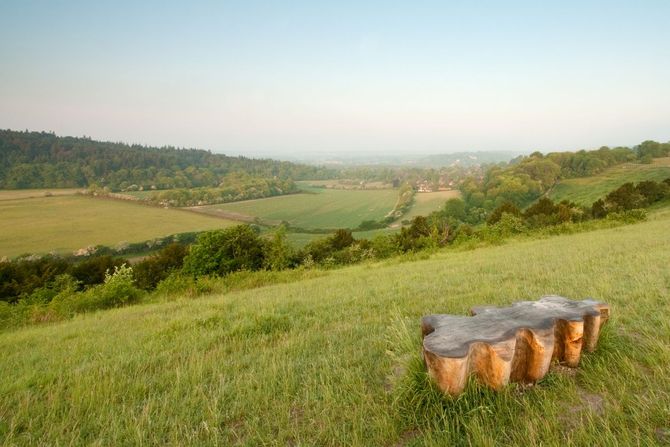 Parco nazionale Surrey Hills