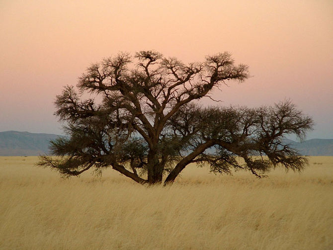 Namibia