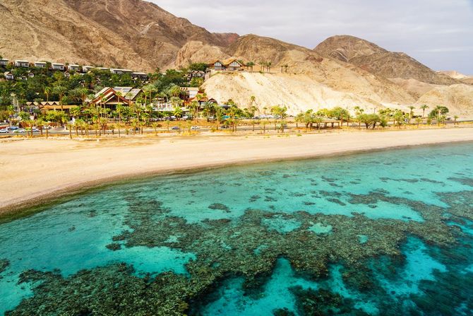9. Dolphin Reef Beach