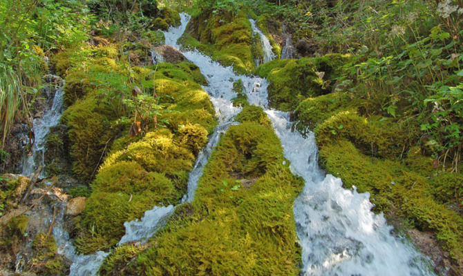 fiume cascate natura montagna alto noce 