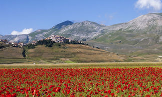  Castelluccio di Norcia