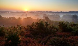 Surrey, Inghilterra