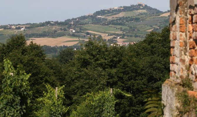 bosco scardavilla italia alberi panorama chiesa parete mattoni 