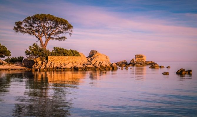 Palombaggia, Corsica, spiaggia, Francia