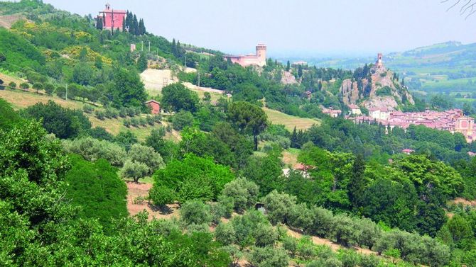 Vie dell&amp;#39;Olio Emilia Romagna DOP Brisighella