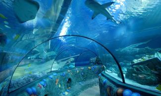 Gardaland acquario