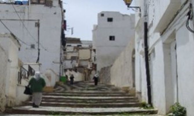 Scheda Algeri