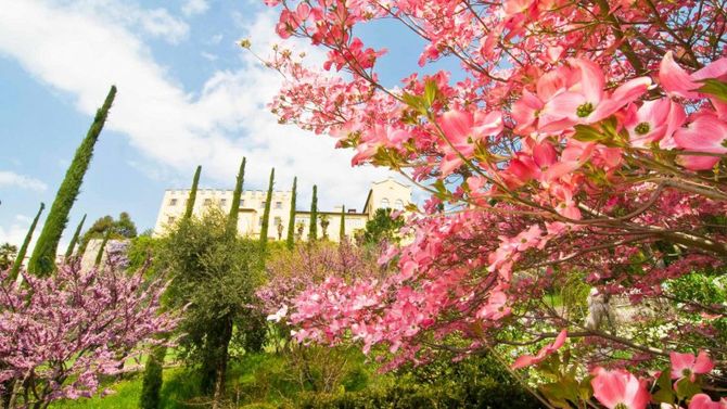Primavera ai Giardini di Sissi