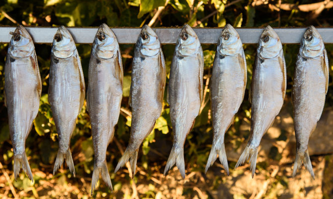 missoltini pesce lago di como