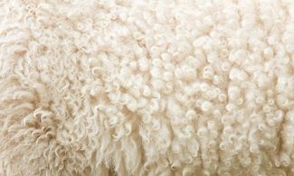 Merano: bagni di Natale nella lana di pecora