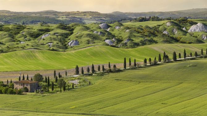 Pecorino Toscano Dop foto