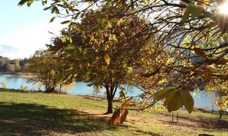 Agritur Calvola, vacanze bio vista lago