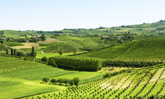 Langhe, Roero e ciclismo Azzurro