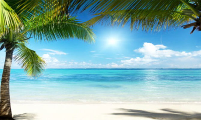 Caraibi spiaggia con palme Repubblica Dominicana