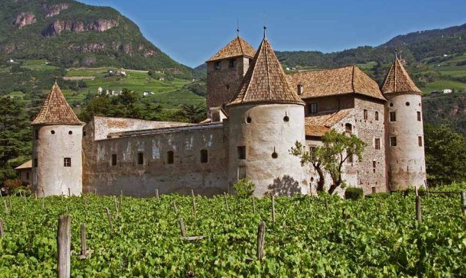 Il castello tra i vigneti