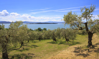 Lago Trasimeno, natura e bellezze leggendarie