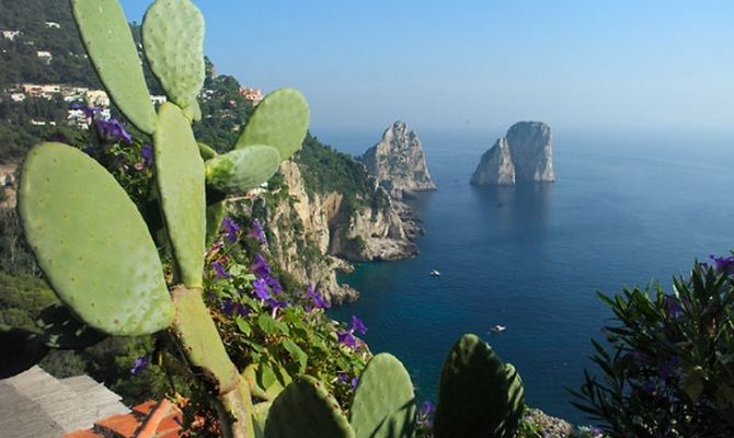 Capri, mare, faraglioni, isola