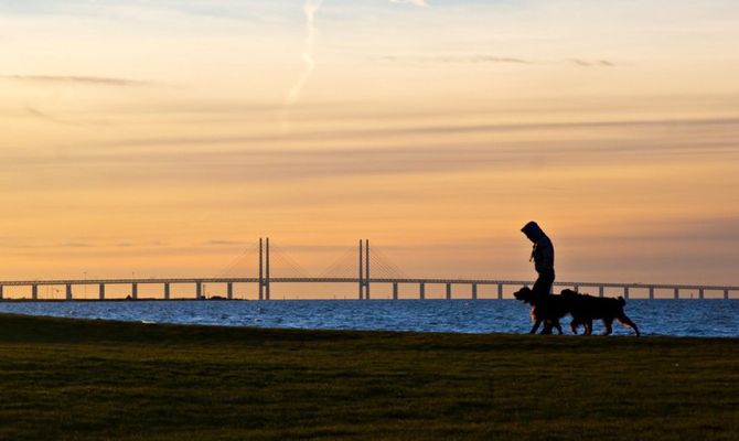 Alba a Malmo