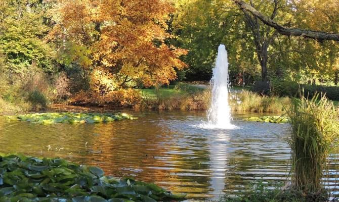 orto botanico città studi