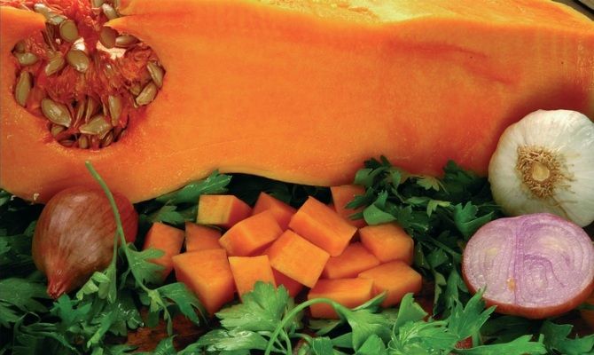 zucca lunga ortaggi cibo verdure cucurbitacea napoli campania