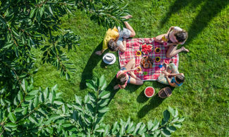Picnic